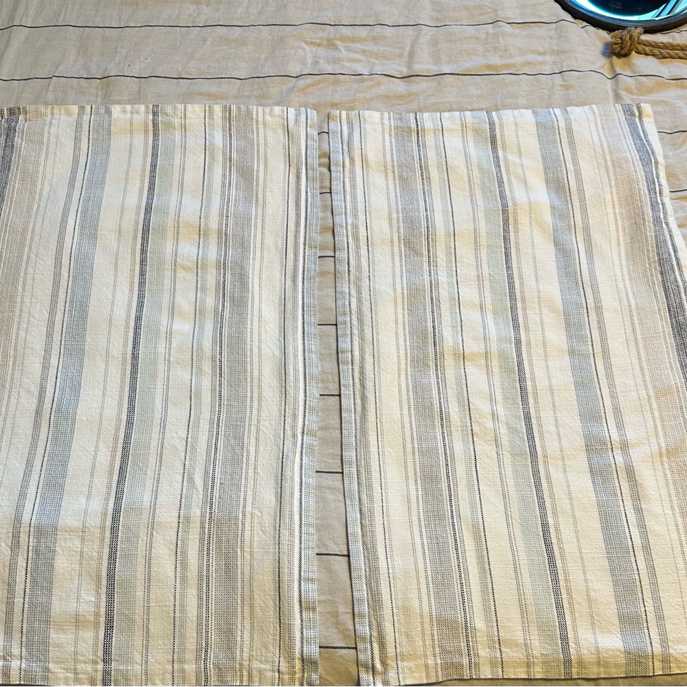 Pottery Barn Clayton set of 2 king size shams